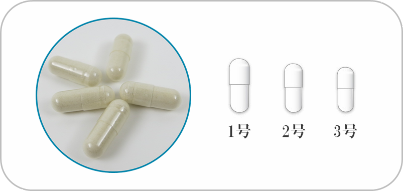 ※このカプセル図はイメージです。実際の大きさとは異なります。 ※このカプセル図はイメージです。実際の大きさとは異なります。